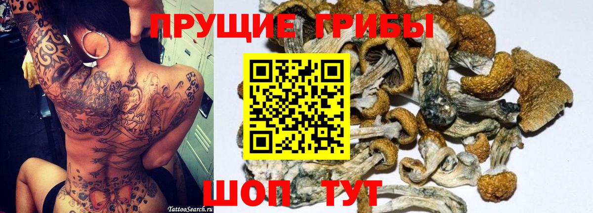 Галлюциногенные грибы прущие грибы Лесосибирск